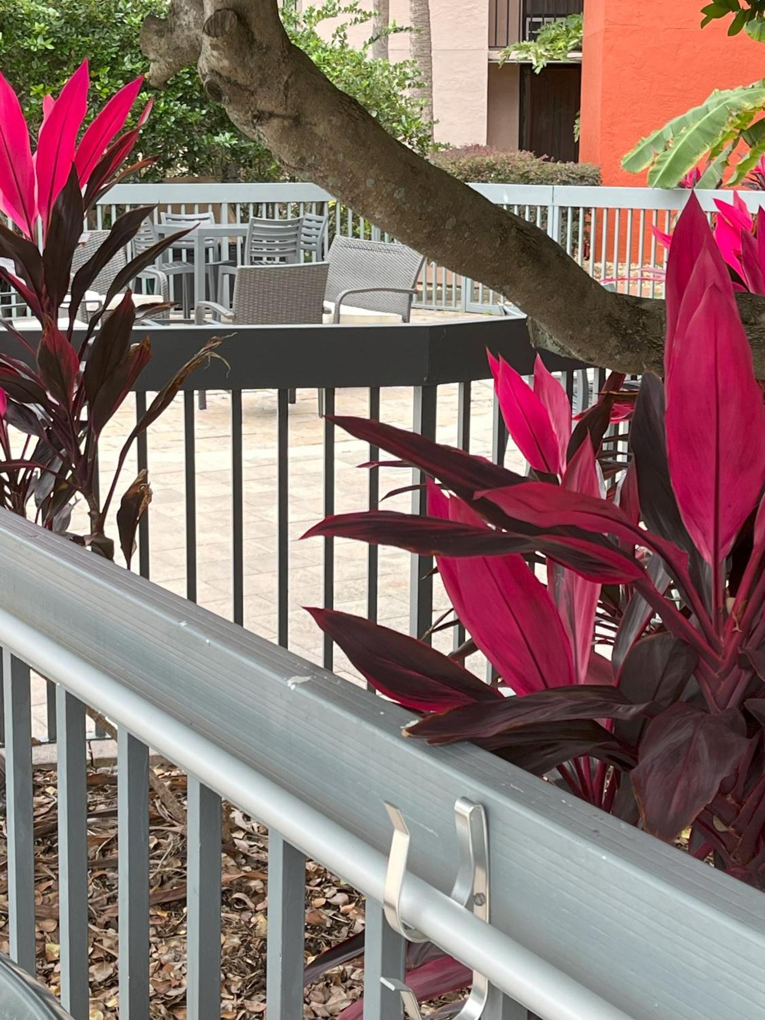 Grand Hotel Orlando At Universal Blvd - Shuttle To Theme Parks Exteriér fotografie